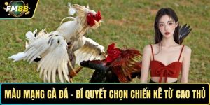 Màu mạng gà đá